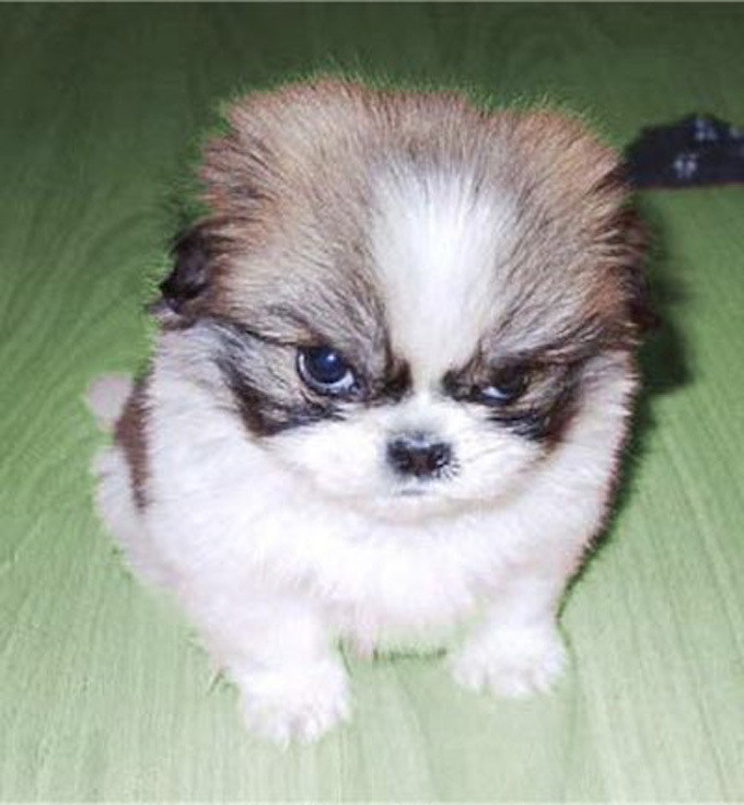 Week 2 Thursday DFS&nbsp;Preview