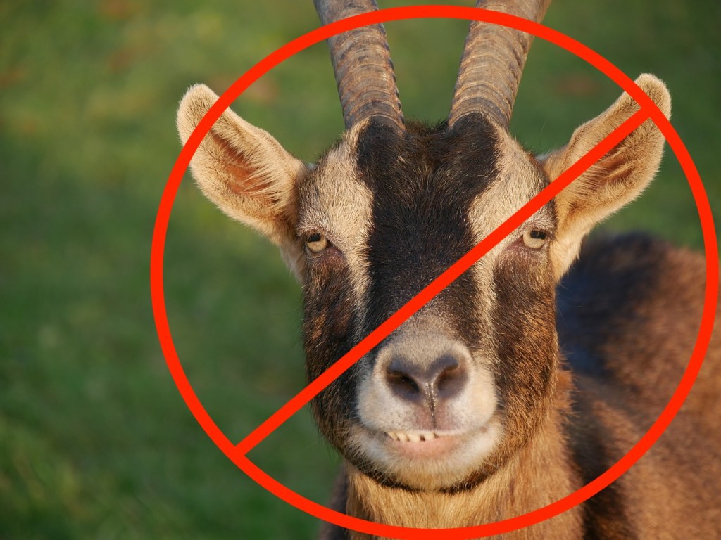 Podcast #82 – The Patriots Make Us Drink and Swear