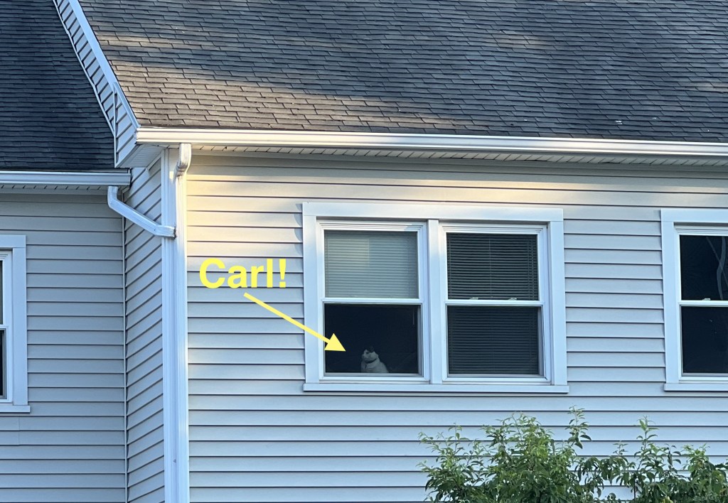 Podcast #239 – Thank you,&nbsp;Carl